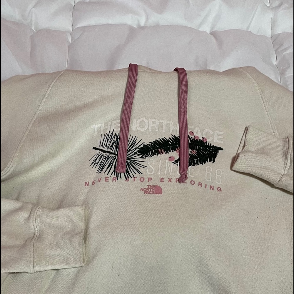 THE NORTH FACE HOODIE
